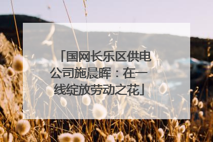 国网长乐区供电公司施晨晖：在一线绽放劳动之花