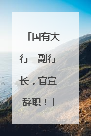 国有大行一副行长，官宣辞职！