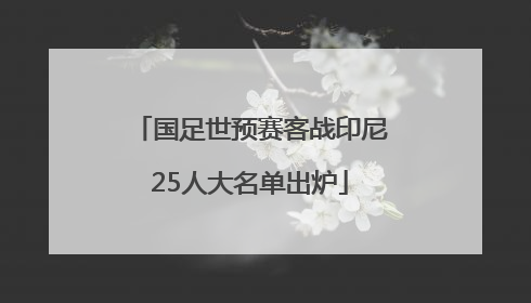 国足世预赛客战印尼25人大名单出炉