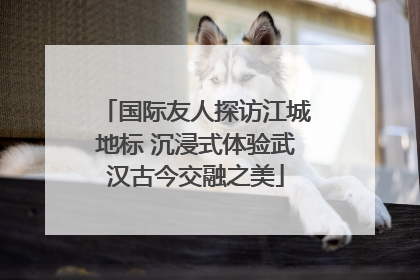 国际友人探访江城地标 沉浸式体验武汉古今交融之美