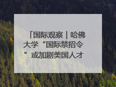 国际观察｜哈佛大学“国际禁招令”或加剧美国人才“出走潮”