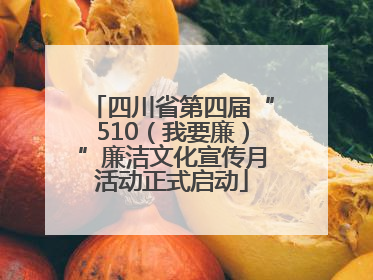 四川省第四届“510（我要廉）”廉洁文化宣传月活动正式启动