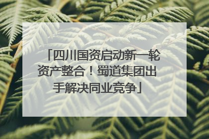 四川国资启动新一轮资产整合！蜀道集团出手解决同业竞争