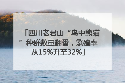 四川老君山“鸟中熊猫”种群数量翻番，繁殖率从15%升至32%