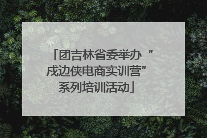 团吉林省委举办“戍边侠电商实训营”系列培训活动