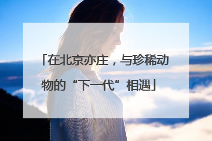 在北京亦庄，与珍稀动物的“下一代”相遇