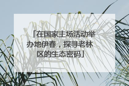 在国家主场活动举办地伊春，探寻老林区的生态密码