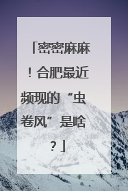 密密麻麻！合肥最近频现的“虫卷风”是啥？