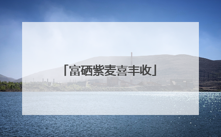 富硒紫麦喜丰收