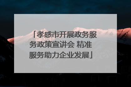 孝感市开展政务服务政策宣讲会 精准服务助力企业发展