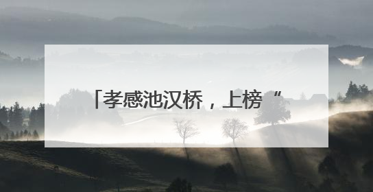 孝感池汉桥，上榜“中国好人榜”候选人