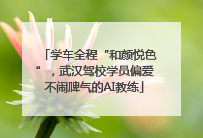学车全程“和颜悦色”，武汉驾校学员偏爱不闹脾气的AI教练