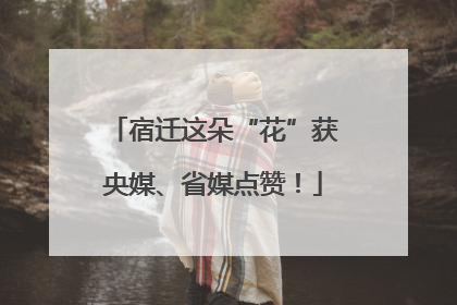 宿迁这朵“花”获央媒、省媒点赞！