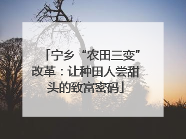 宁乡“农田三变”改革：让种田人尝甜头的致富密码