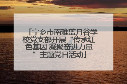 宁乡市南雅蓝月谷学校党支部开展“传承红色基因 凝聚奋进力量”主题党日活动