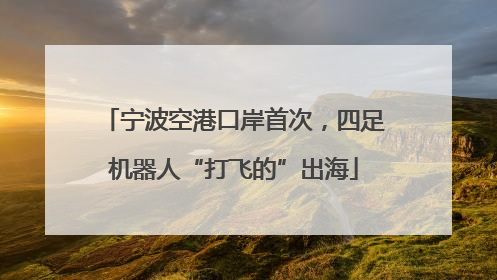 宁波空港口岸首次，四足机器人“打飞的”出海