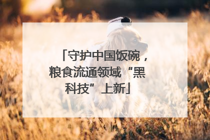 守护中国饭碗，粮食流通领域“黑科技”上新