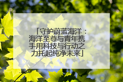 守护蔚蓝海洋：海洋至尊与青年携手用科技与行动之力托起纯净未来