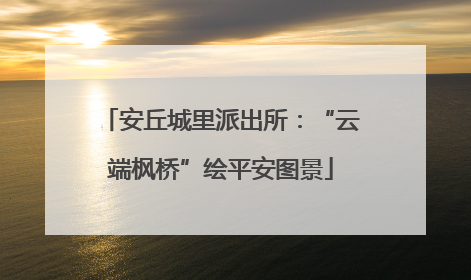 安丘城里派出所：“云端枫桥”绘平安图景