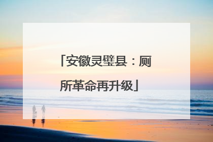 安徽灵璧县：厕所革命再升级
