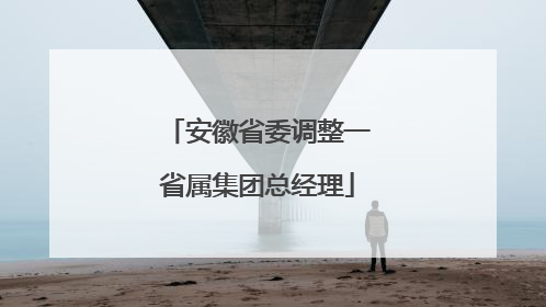 安徽省委调整一省属集团总经理