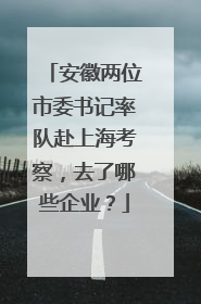安徽两位市委书记率队赴上海考察，去了哪些企业？
