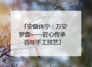 安徽休宁：万安罗盘——匠心传承百年手工技艺