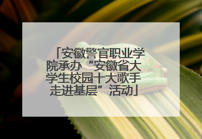 安徽警官职业学院承办“安徽省大学生校园十大歌手走进基层”活动