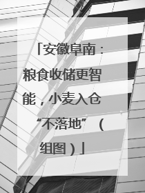 安徽阜南：粮食收储更智能，小麦入仓“不落地”（组图）