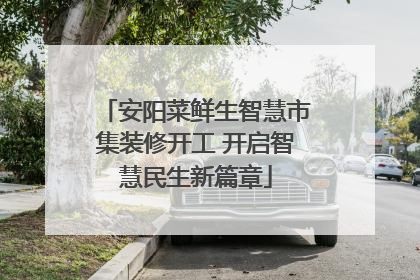 安阳菜鲜生智慧市集装修开工 开启智慧民生新篇章