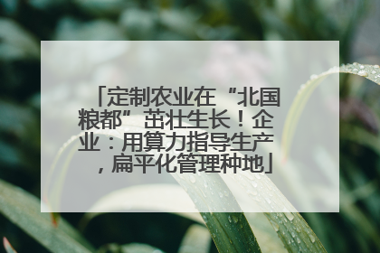 定制农业在“北国粮都”茁壮生长！企业：用算力指导生产，扁平化管理种地