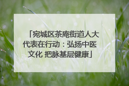 宛城区茶庵街道人大代表在行动：弘扬中医文化 把脉基层健康