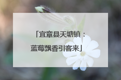 宜章县天塘镇：蓝莓飘香引客来