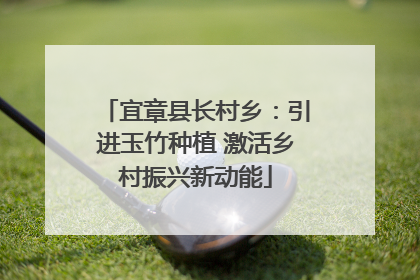 宜章县长村乡：引进玉竹种植 激活乡村振兴新动能