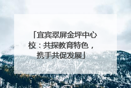 宜宾翠屏金坪中心校：共探教育特色，携手共促发展