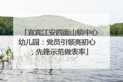 宜宾江安四面山镇中心幼儿园：党员引领亮初心，先锋示范做表率