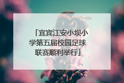 宜宾江安小坝小学第五届校园足球联赛顺利举行