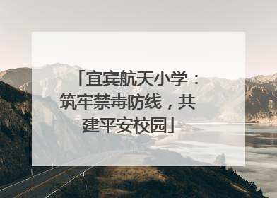 宜宾航天小学：筑牢禁毒防线，共建平安校园