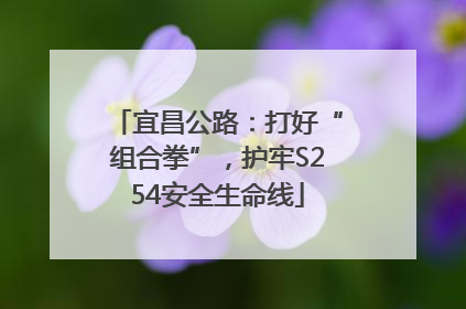 宜昌公路：打好“组合拳”，护牢S254安全生命线