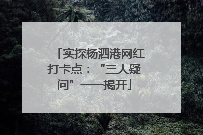 实探杨泗港网红打卡点：“三大疑问”一一揭开