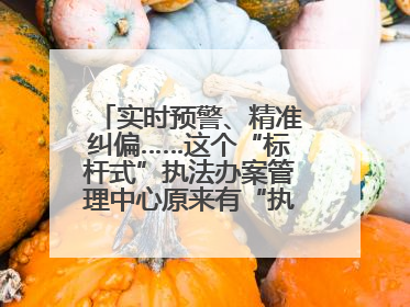实时预警、精准纠偏……这个“标杆式”执法办案管理中心原来有“执法工兵”