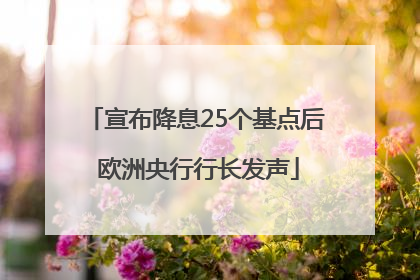 宣布降息25个基点后 欧洲央行行长发声