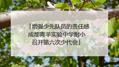 增强少先队员的责任感 成都青羊实验中学附小召开第六次少代会