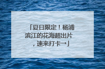 夏日限定！杨浦滨江的花海超出片，速来打卡→