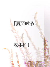 夏至时节农事忙