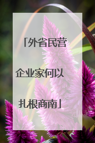 外省民营企业家何以扎根商南
