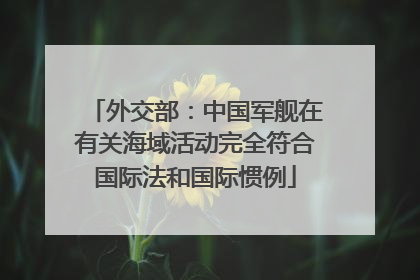 外交部：中国军舰在有关海域活动完全符合国际法和国际惯例