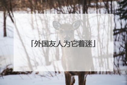 外国友人为它着迷