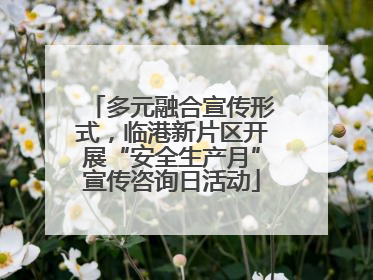 多元融合宣传形式，临港新片区开展“安全生产月”宣传咨询日活动