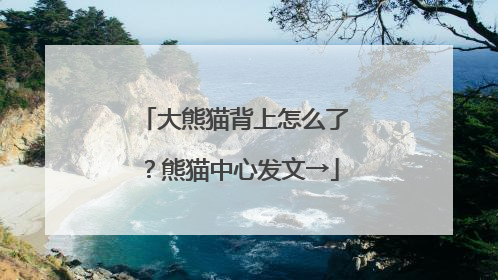 大熊猫背上怎么了？熊猫中心发文→